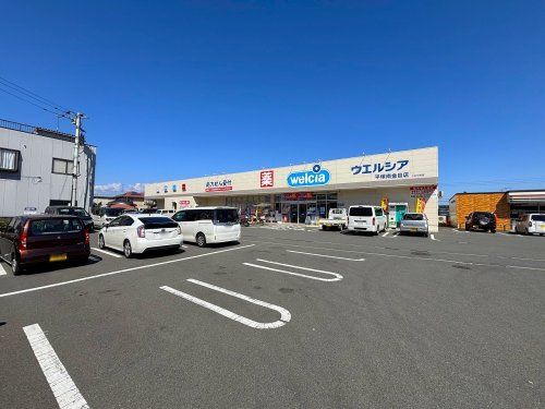 近くのウエルシア平塚南金目店まで282m（徒歩4分）