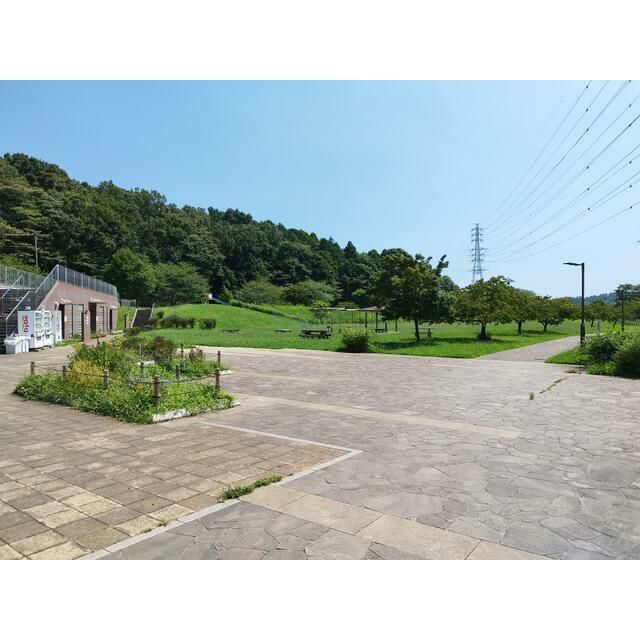 近くの引地川親水公園まで270m(徒歩4分)