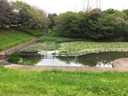 近くの谷戸岡公園まで528m(徒歩7分)