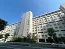 東急ドエルフェニックスの間取り画像