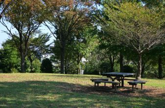 近くの遠藤公園まで1,183m(徒歩15分)