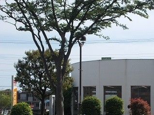 近くの郵便局まで850m（徒歩11分）