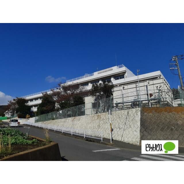 近くの秦野市立鶴巻中学校まで965m(徒歩13分)