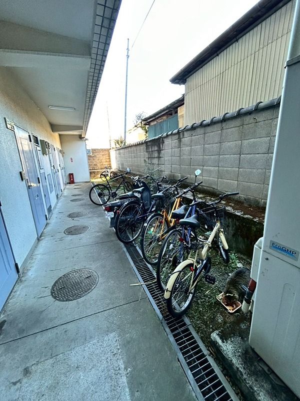 その他