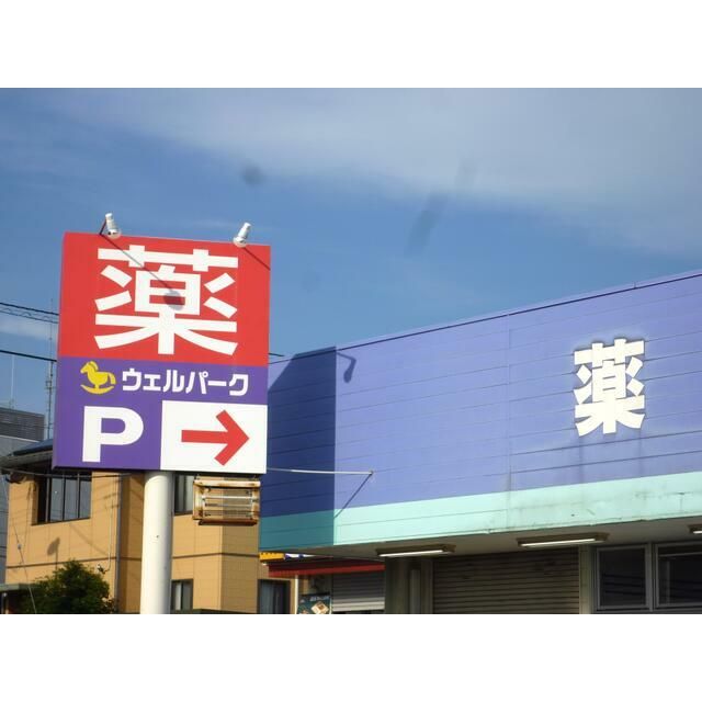 近くのウェルパーク海老名かしわ台店まで77m(徒歩1分)
