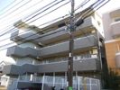 ヒルズ青山の間取り画像