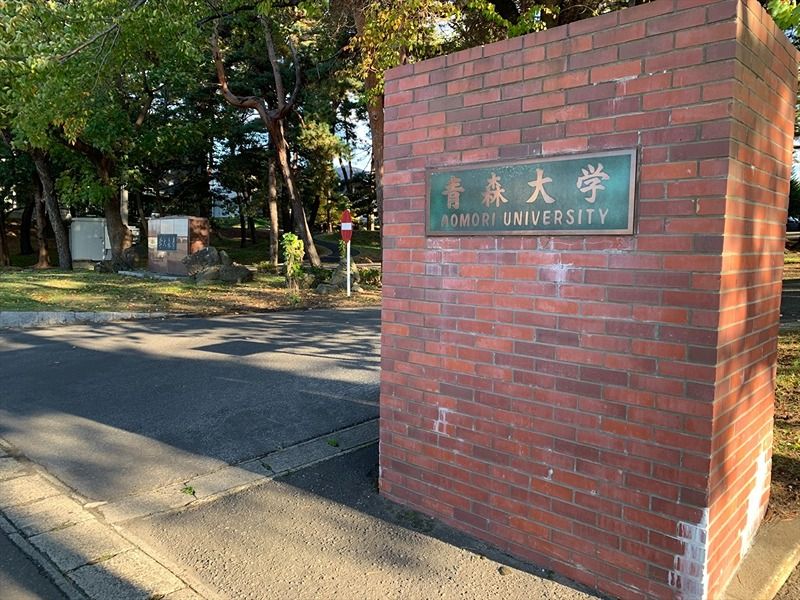 近くの私立青森大学まで388m（徒歩5分）