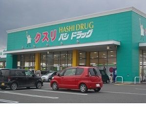 近くのハシドラッグ南福島店まで600m（徒歩8分）