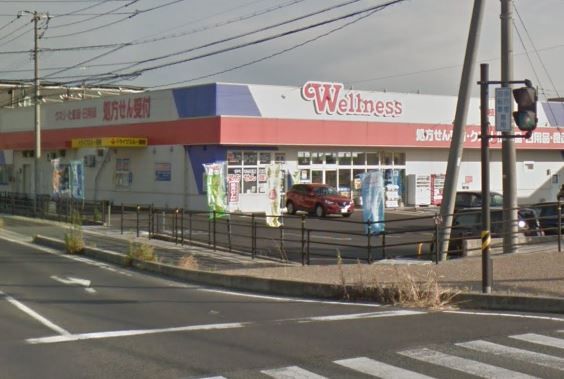 近くのドラッグストアウェルネス 白枝店まで749m（徒歩10分）