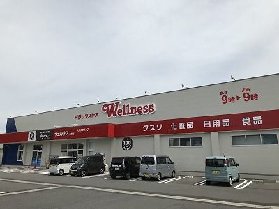 近くのドラッグストアウェルネス 片庭店まで731m（徒歩10分）