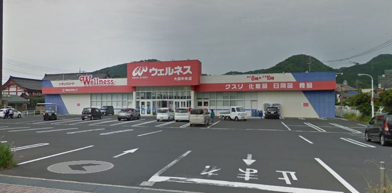 近くのウェルネス 大田中央店まで733m（徒歩10分）
