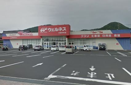 近くのワッツウィズ大田中央ウェルネス店まで541m(徒歩7分)