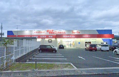 近くのウェルネス 平田西店まで1,099m（徒歩14分）