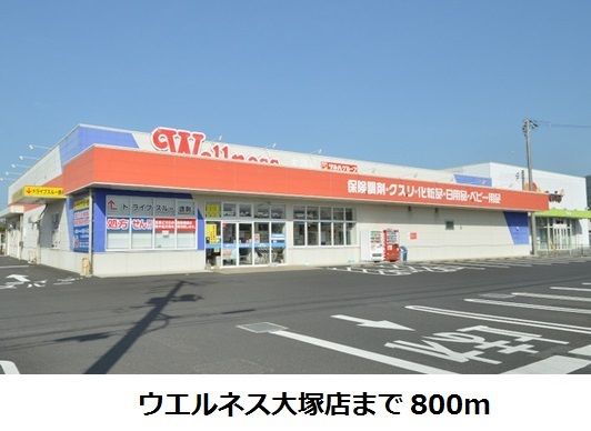 近くのウエルネス大塚店まで800m（徒歩10分）
