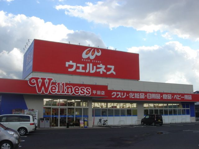 近くのドラッグストアウェルネス平田店まで4,780m（徒歩60分）