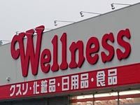 近くのドラッグストアウェルネス 出雲中野店まで841m（徒歩11分）