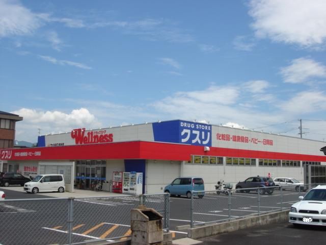 近くのウェルネス 出雲駅南店まで708m（徒歩9分）