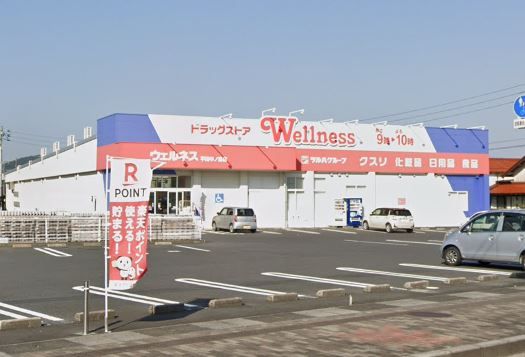 近くのウェルネス 平田中ノ島店まで1,710m（徒歩22分）