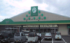 近くのラピタ みなみ店まで505m（徒歩7分）