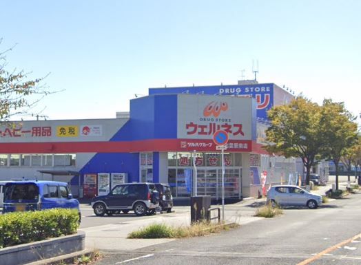 近くのドラッグストアウェルネス 出雲駅南店まで380m（徒歩5分）
