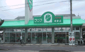 近くのラピタ 湖陵店まで1,871m(徒歩24分)