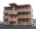 サワーオレンジIIの外観