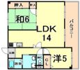 ラフィネセオミの間取り画像
