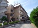 シェトア塚口の間取り画像