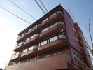 ダイリンハイツの間取り画像