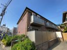 PEACE ISLANDの間取り画像