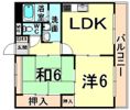 エクシード塚口の間取り画像