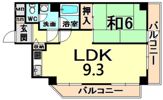 メゾンチェリーアヴェニューの間取り画像