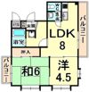 プルミエール塚口の間取り画像