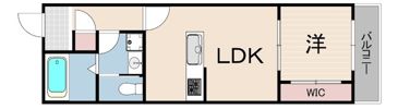 ソリティア西宮の間取り画像