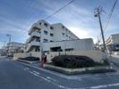エルマーナ香枦園の間取り画像