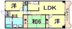 ドミールタワー幸大の間取り画像