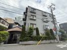ドムール樋之池の間取り画像