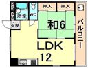 グリーンホームの間取り画像