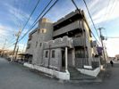 ステラハウス11の間取り画像
