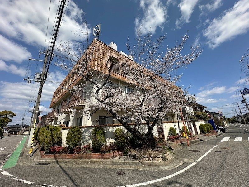 メゾン上甲東園の外観画像