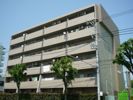 パラディーゾ坂部の間取り画像