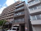 ONELIGHT三宮東の間取り画像