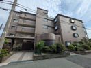 メゾンドール荒牧の間取り画像