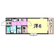 アルファコートの間取り画像
