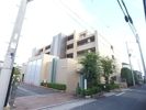 チュリス本山の間取り画像