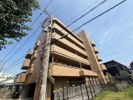 グレース芦屋の間取り画像