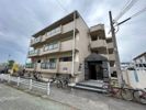 メゾン兵庫の間取り画像