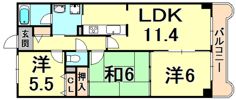 ドミールタワー幸大の間取り画像