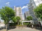ハイネス東灘の間取り画像