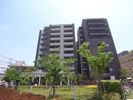 プレミスト西宮北口の間取り画像